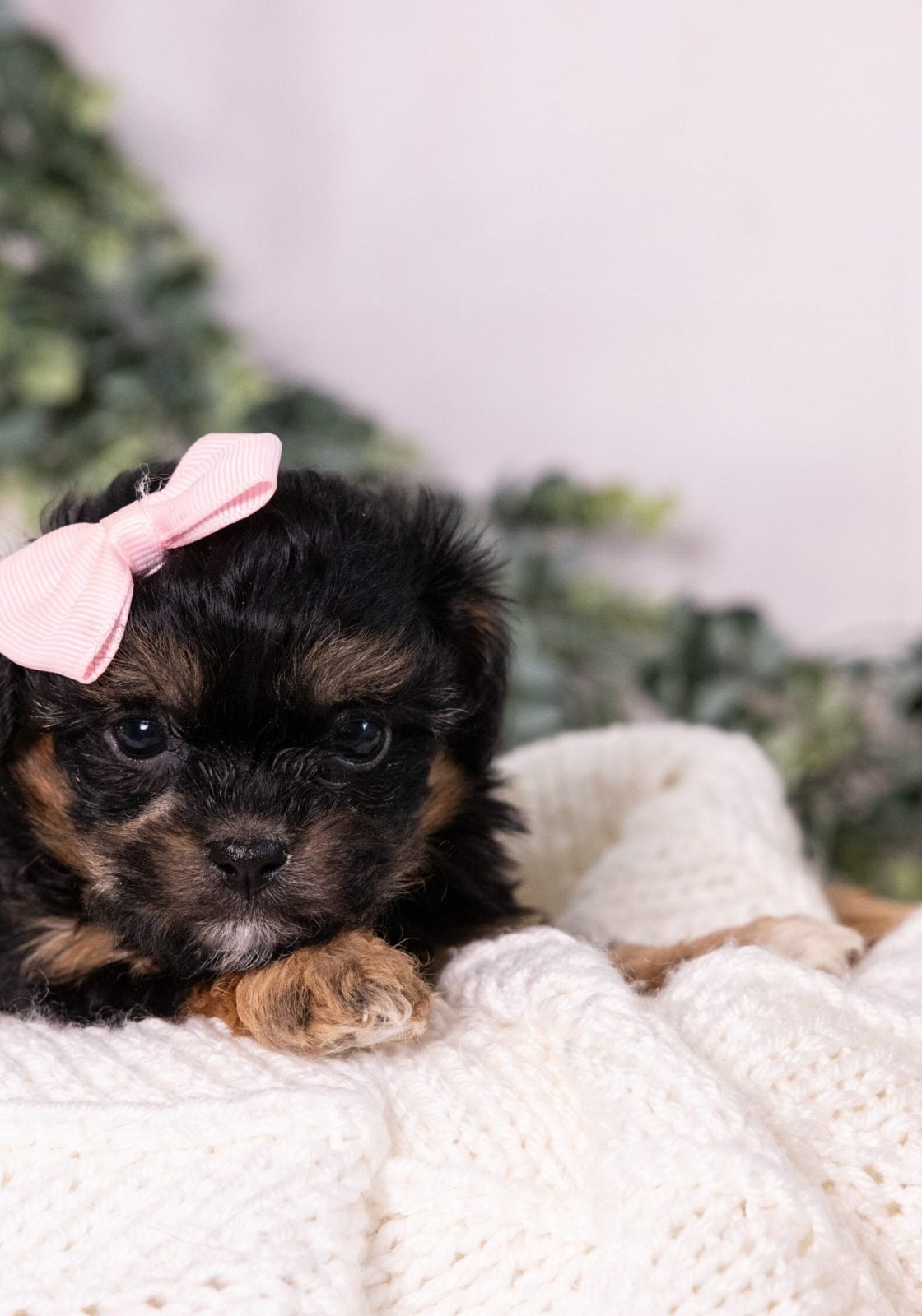 47db8410-bbf6-4fb5-91f9-2209b44d6ee4-2