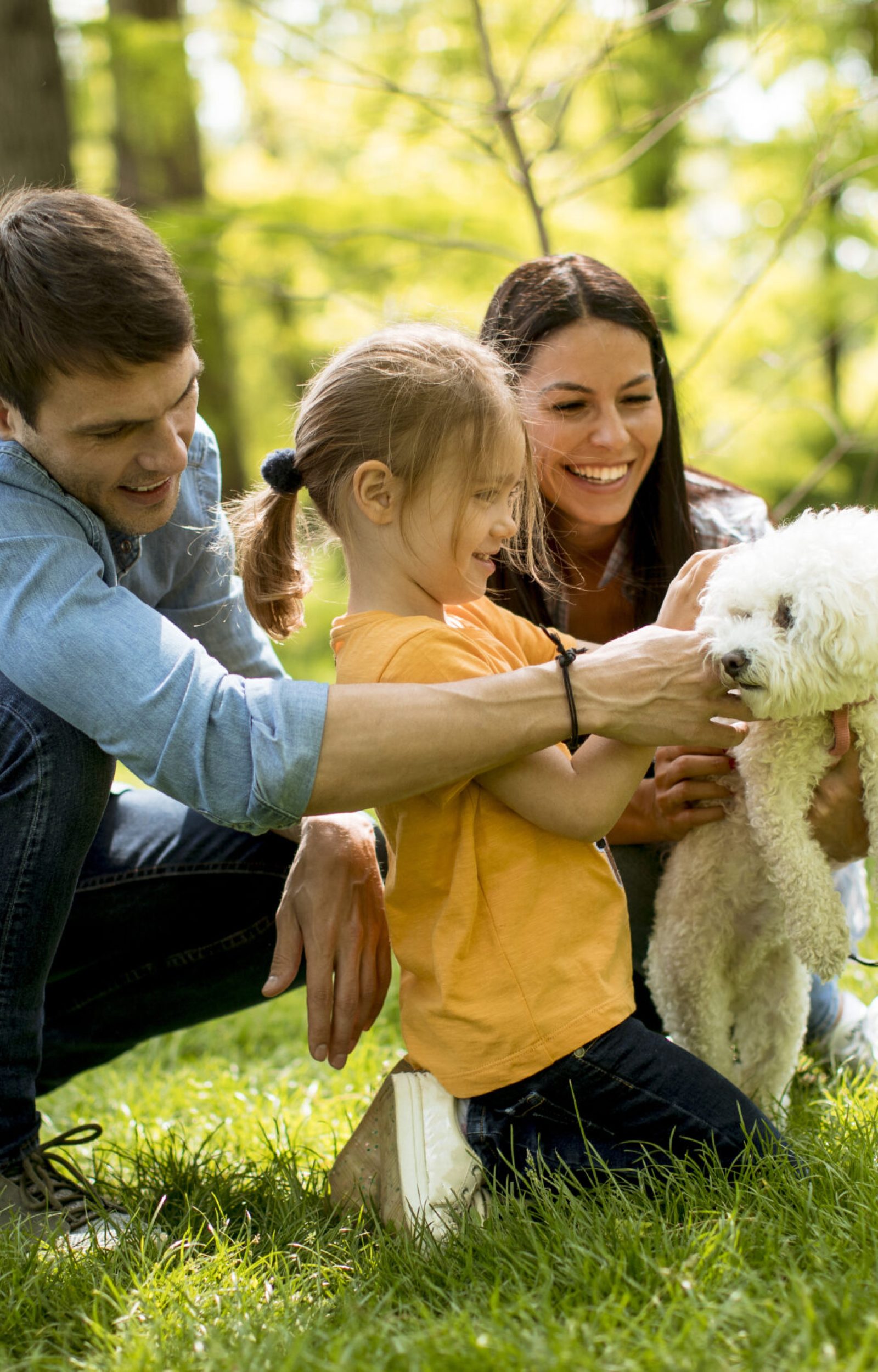 Beautiful happy family is having fun with bichon dog outdoors Beautiful happy family is having fun with bichon dog outdoors in the park